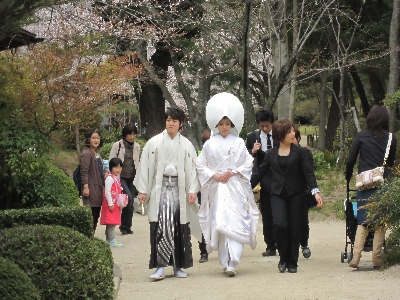 「さくら」　縮景園　_e0045719_21252218.jpg