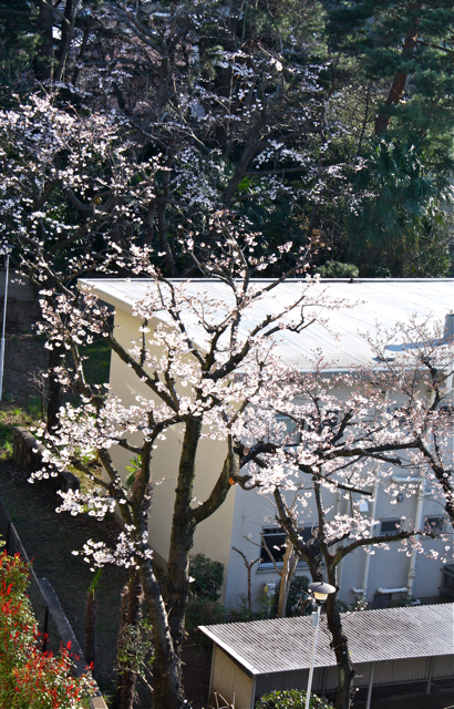 嬉しい景色_f0170519_0321259.jpg