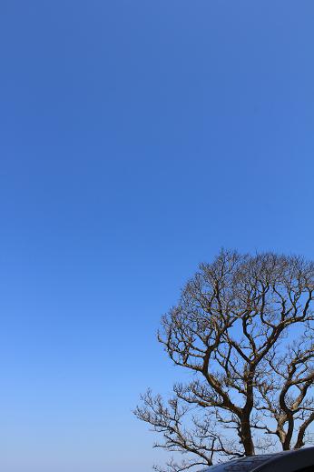 b0109220_835085.jpg