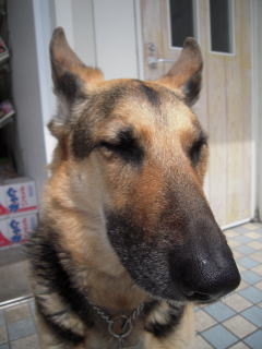 c0090220_15132324.jpg