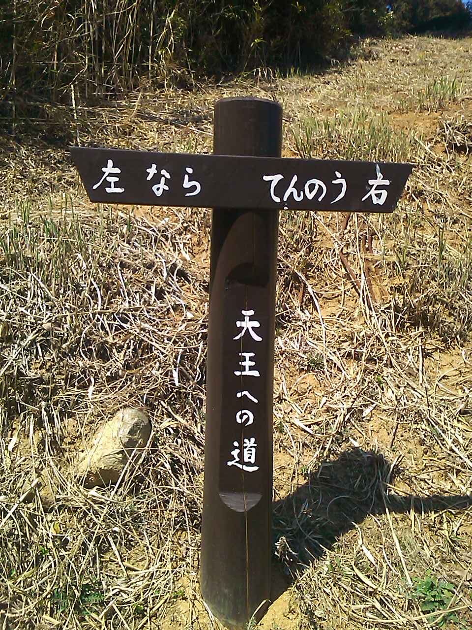 奈良に☆下見に行ってきました_a0169121_1591587.jpg