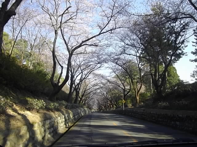 e0224322_0445489.jpg