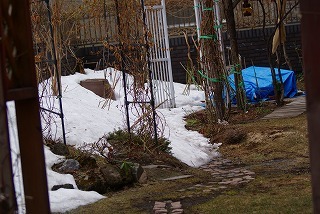 f0170524_12544619.jpg