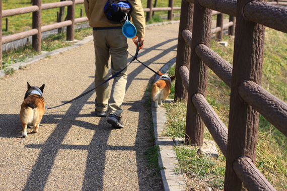 菜の花はまだだった＾＾；そして２人っ子のお迎え記念日_e0071225_21505431.jpg