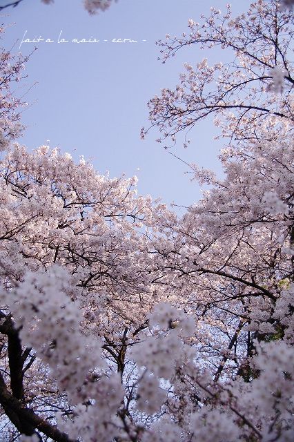 c0093830_8171835.jpg