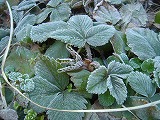 f0167635_6224914.jpg