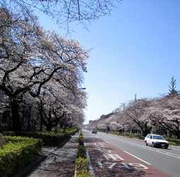 f0038336_6431010.jpg