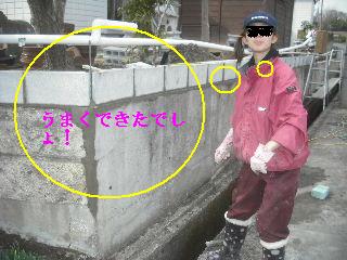 ブロック工事・・・_f0031037_21201718.jpg