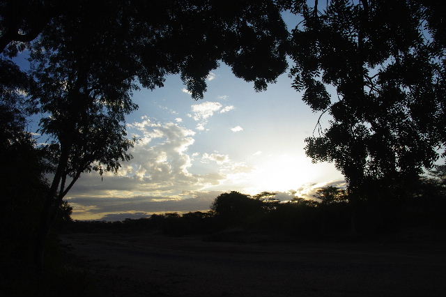 c0011649_5335255.jpg