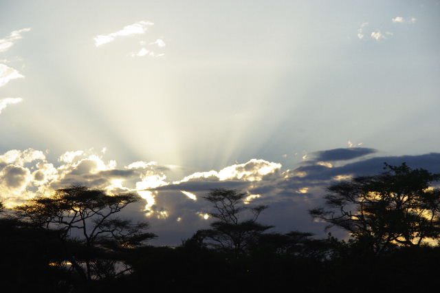 c0011649_5343923.jpg