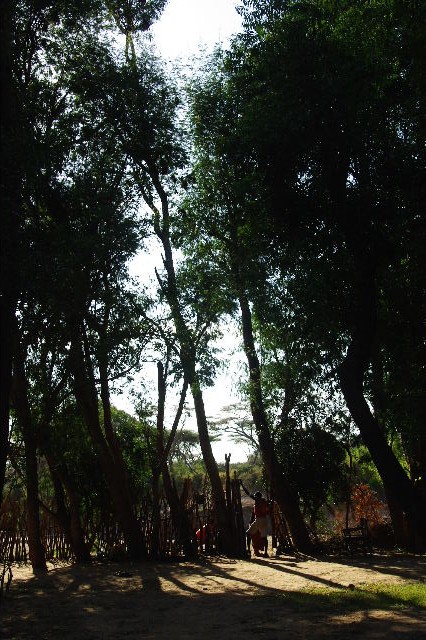 c0011649_5443619.jpg