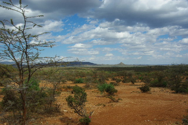 c0011649_612980.jpg