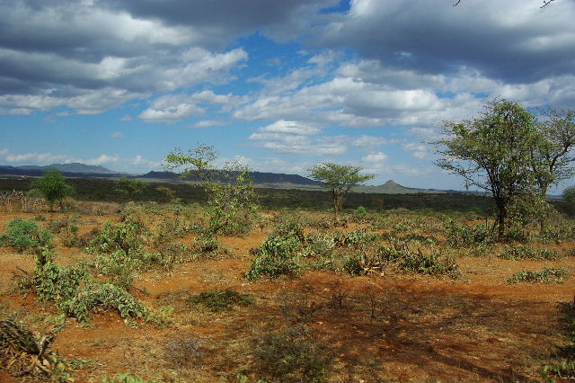 c0011649_62582.jpg