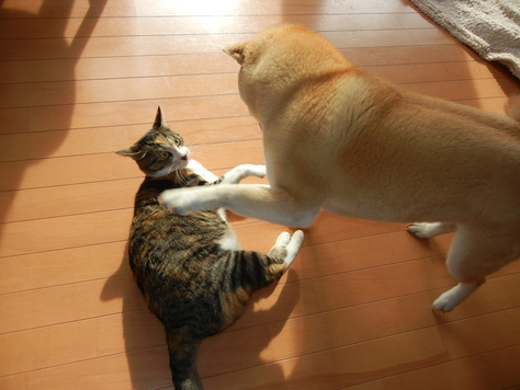 2011年4月7日(木)普通のことの幸せ!_f0060461_14254757.jpg