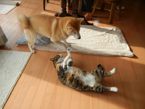 2011年4月7日(木)普通のことの幸せ!_f0060461_1426284.jpg