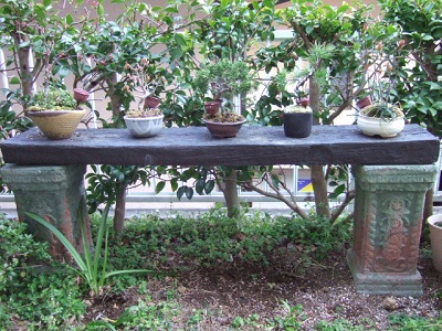 飾りながら育てる～盆栽棚・培養棚～ : 志乃's スローライフ通信
