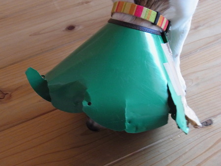 e0227665_12325742.jpg