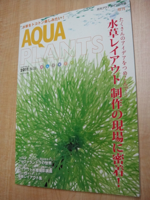 e0181866_1551569.jpg