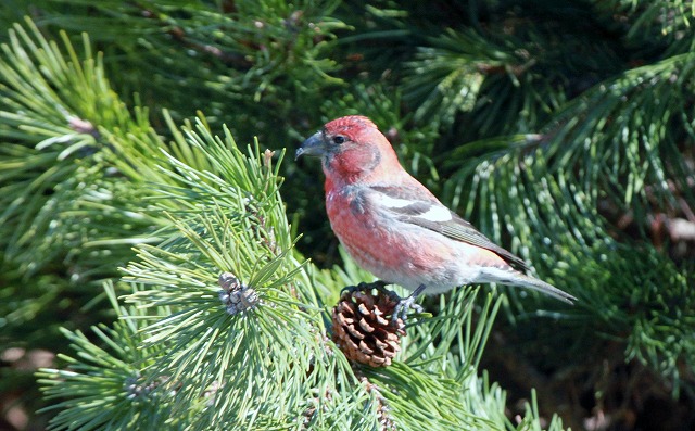 f0000866_553834.jpg