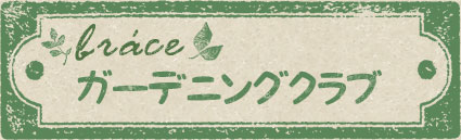 【本部】ガーデンニングクラブ 開花宣言_c0080367_14184160.jpg
