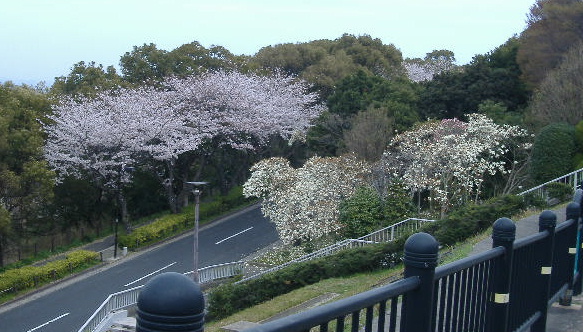 b0195872_15384932.jpg