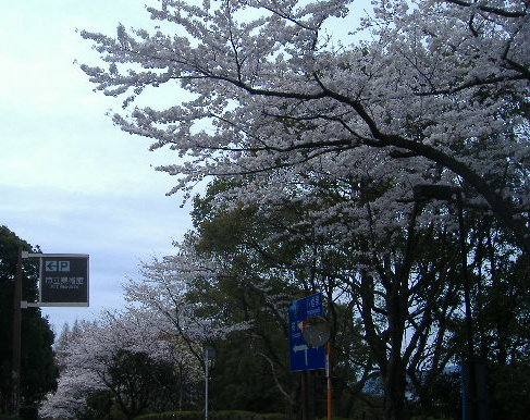 b0195872_15414167.jpg