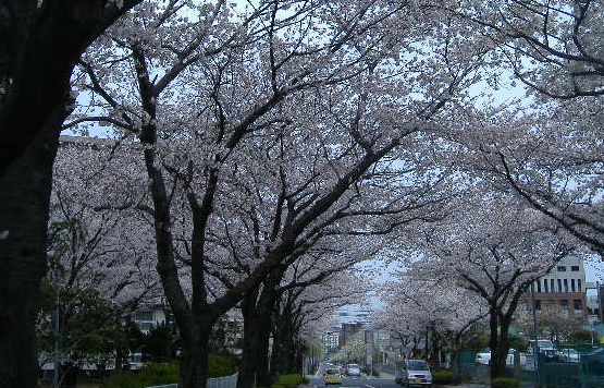 b0195872_1550133.jpg