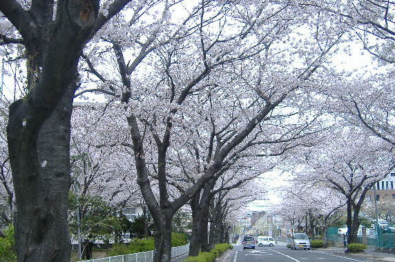 b0195872_15503763.jpg