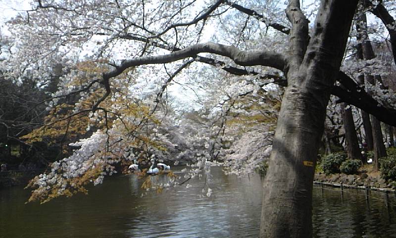 e0212073_13134653.jpg