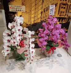 d0010774_2055250.gif
