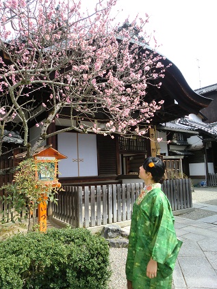 着物でおでかけ～京都八坂神社、祇園、清水寺_d0174975_2121257.jpg