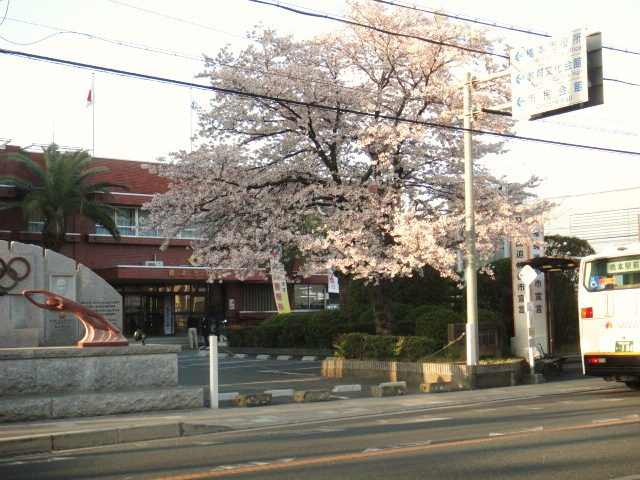 桜_b0178976_17473652.jpg