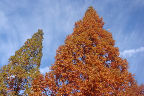 e0142585_23181530.jpg
