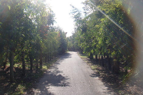 e0142585_23183365.jpg