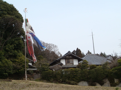 阪急百貨店・うめだ本店　島岡桂作陶展_e0183485_23382493.jpg