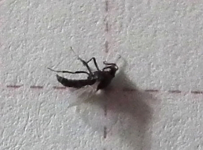 e0028387_23244756.jpg