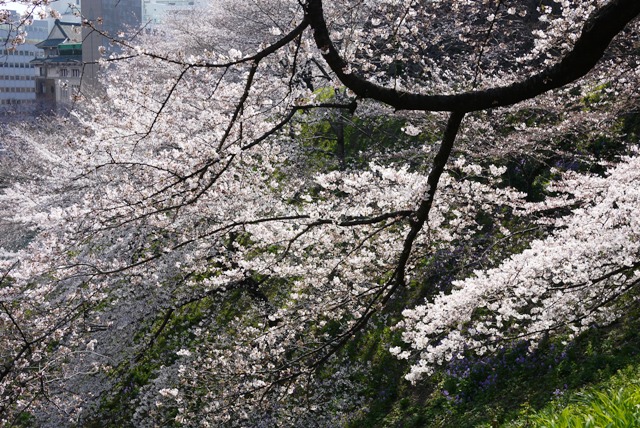 a0127090_7131332.jpg