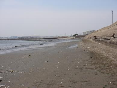 e0147297_1618641.jpg