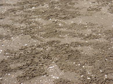 e0147297_1625212.jpg