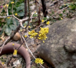 c0151898_19483236.jpg