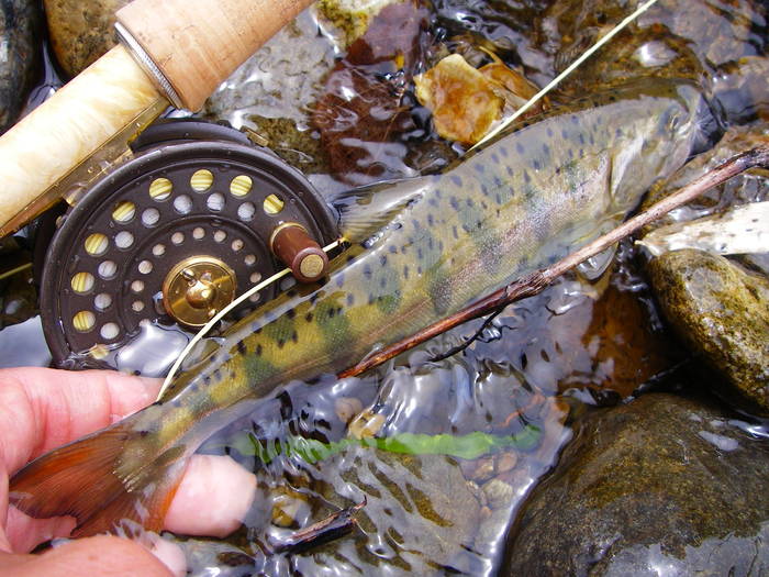 c0180802_20232426.jpg