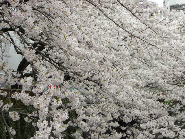 f0144003_22305376.jpg