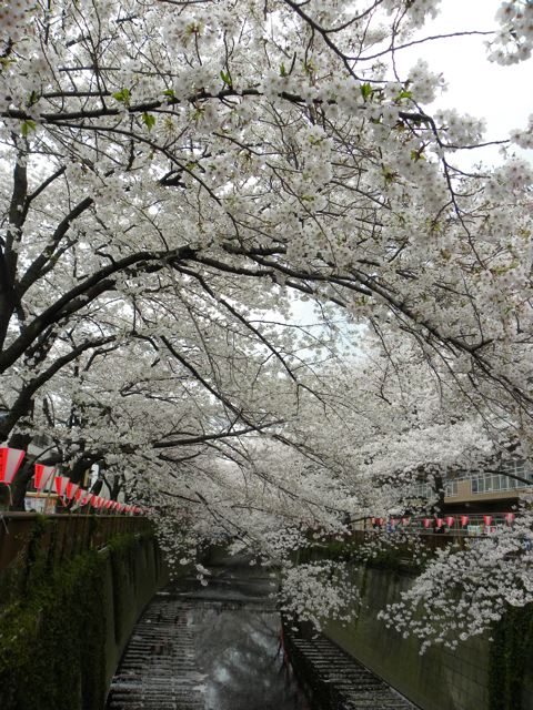 f0144003_22312360.jpg