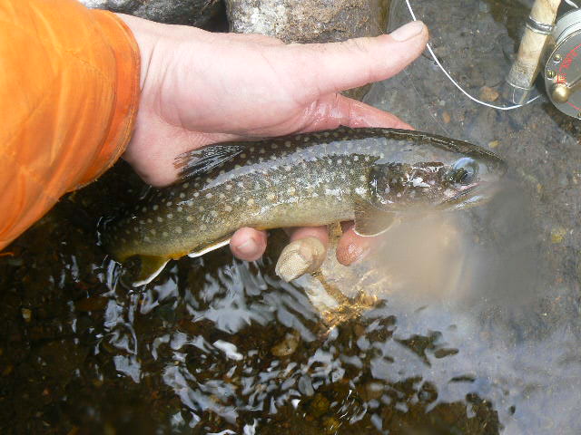 f0164503_22524711.jpg