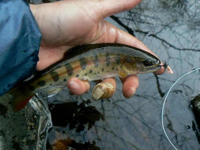 f0164503_22575964.jpg