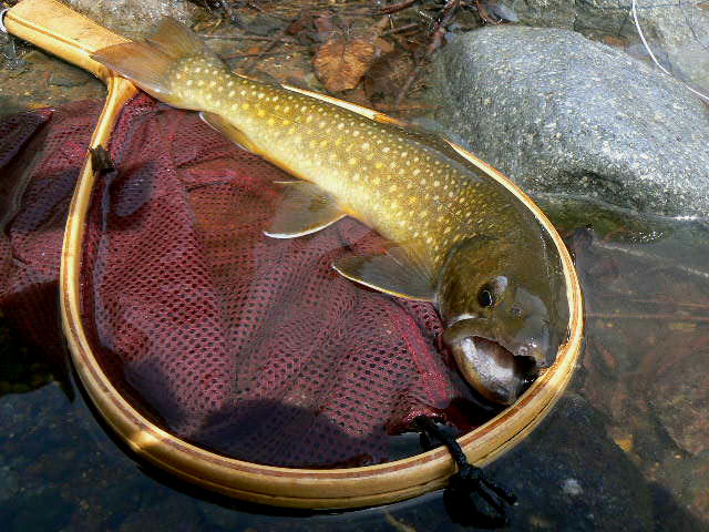 f0164503_2381649.jpg