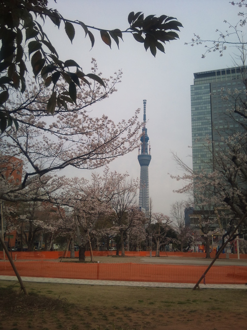 a0099804_18391470.jpg