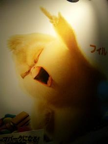 残念DAYS。_f0042307_1484736.jpg