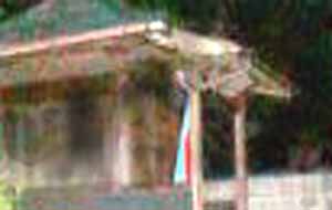 e0103408_16255434.jpg