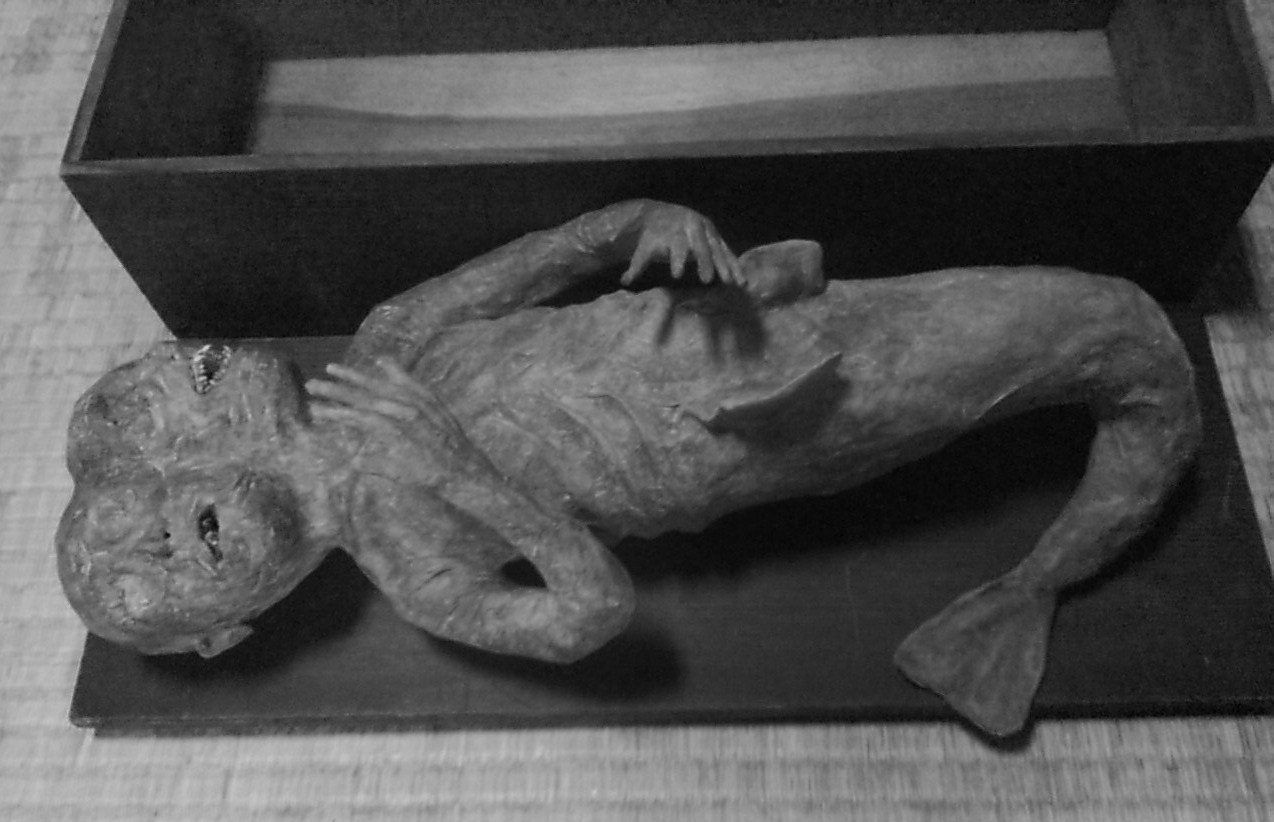 驚愕(´ι_` )！古刹から発見された双頭人魚のミイラ写真！ : ヲ ...